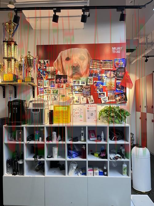 探索金年会体育综合版带来的独特体验